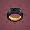 Signet Ring #7975