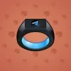 Signet Ring #8092