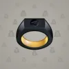 Signet Ring #8119