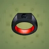 Signet Ring #812