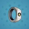Signet Ring #8139