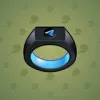 Signet Ring #8322