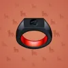 Signet Ring #8527