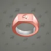 Signet Ring #8537