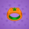 Signet Ring #8548
