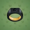 Signet Ring #8747