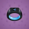 Signet Ring #8750