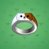 Signet Ring #8823
