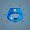 Signet Ring #8856