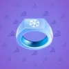 Signet Ring #8910