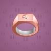 Signet Ring #8980