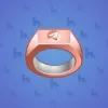 Signet Ring #8992