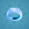Signet Ring #9051