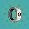 Signet Ring #9081