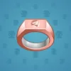 Signet Ring #9204