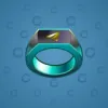 Signet Ring #9328