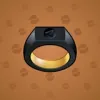 Signet Ring #9381