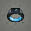 Signet Ring #9427