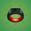 Signet Ring #9538