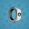 Signet Ring #9595
