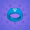 Signet Ring #9851