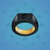 Signet Ring #9867