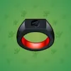 Signet Ring #9868