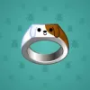 Signet Ring #9902