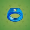 Signet Ring #9935