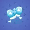 Snow Mittens #16064