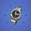 Swiss Watch #1017