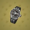 Swiss Watch #10672