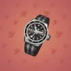 Swiss Watch #11425