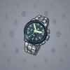Swiss Watch #11602