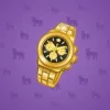 Swiss Watch #12017