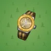 Swiss Watch #19843