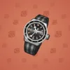 Swiss Watch #20698