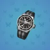 Swiss Watch #2572