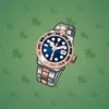 Swiss Watch #2848