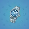 Swiss Watch #3149