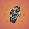 Swiss Watch #3653