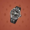 Swiss Watch #3843