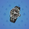 Swiss Watch #5315