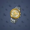 Swiss Watch #5417