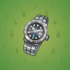 Swiss Watch #5513