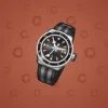 Swiss Watch #6478