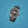 Swiss Watch #7101