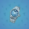 Swiss Watch #9029