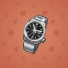 Swiss Watch #9352
