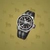 Swiss Watch #9795